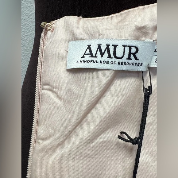 Amur Filipa Dress Size 2 New With Tags Blush Wildflowers MIDI Length Spring - Picture 7 of 15